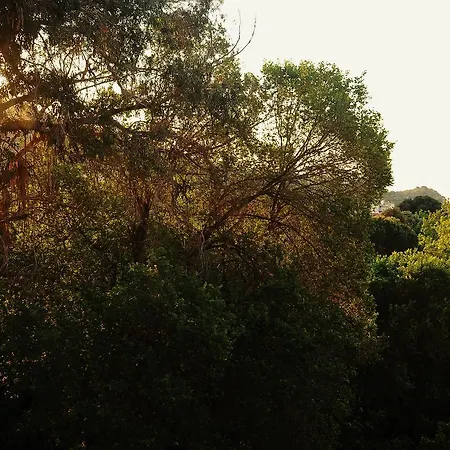 Sea Breeze * PalaiónTsiflíkion