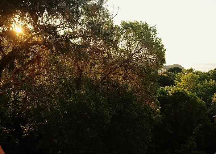 Sea Breeze * PalaiónTsiflíkion