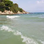 Sea Breeze